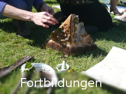 Fortbildungen