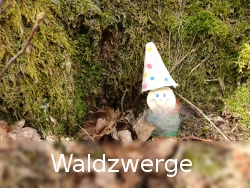 Waldzwerge